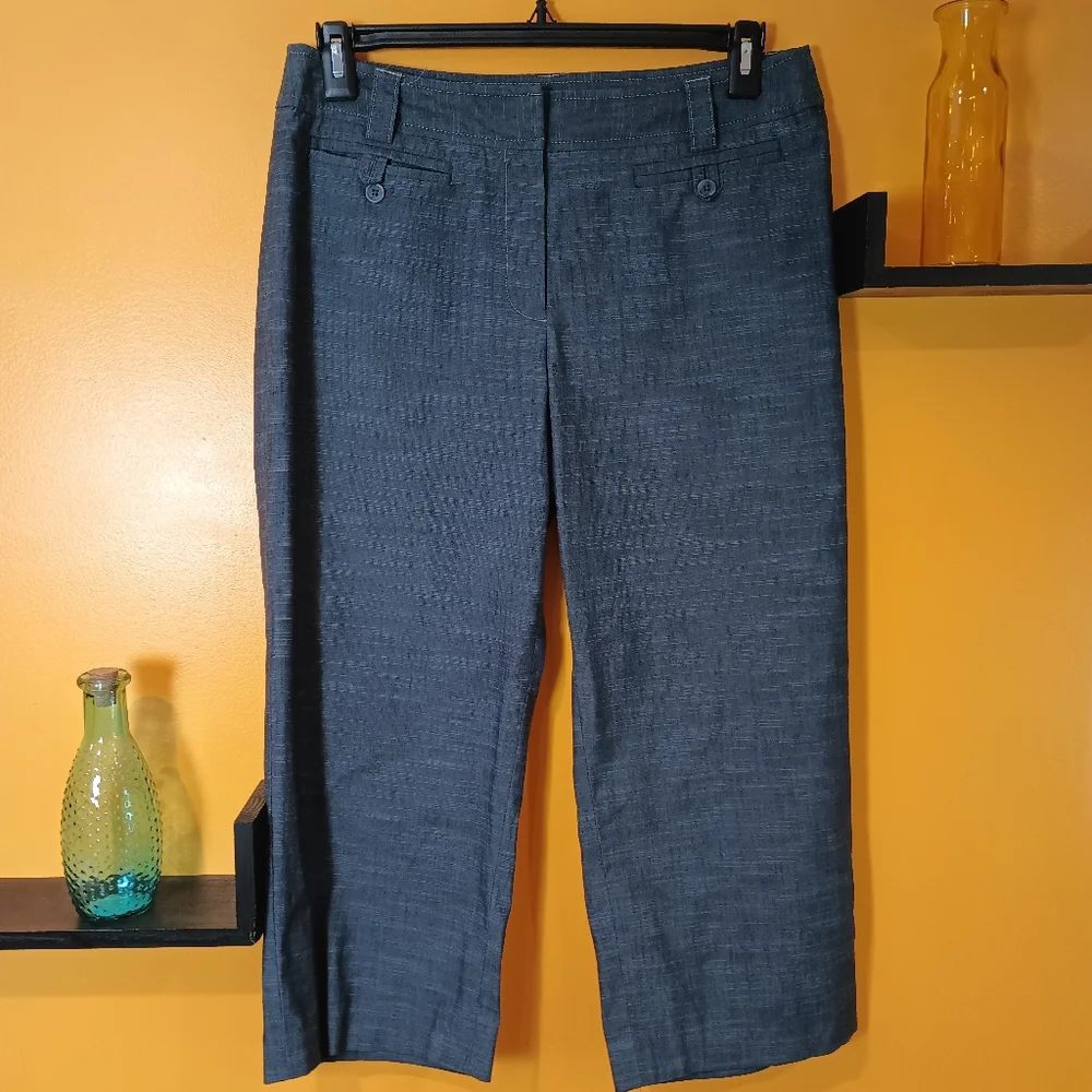 Apt 9 Stretch Maxwell Gray Cropped Pants Size 12 - Picture 1 of 12